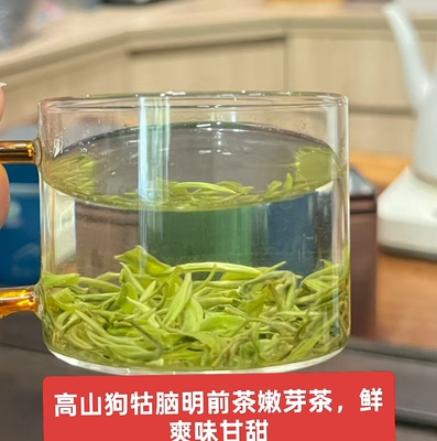 26狗牯脑茶明前嫩芽珍品特级江西吉安遂川绿茶春茶250克鲜爽甘甜