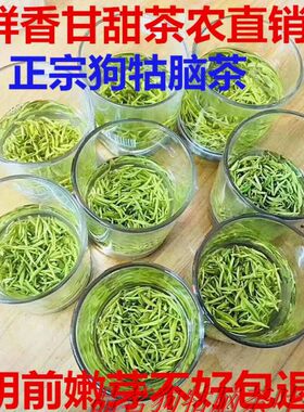 26新茶狗牯脑春茶江西绿茶特产狗古脑茶叶明前贡品芽送罐可配礼盒