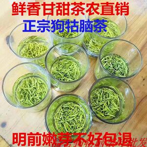 26新茶狗牯脑春茶江西绿茶特产狗古脑茶叶明前贡品芽送罐可配礼盒