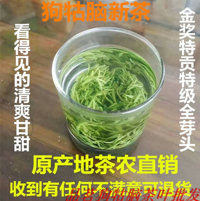 2024新茶狗牯脑茶全芽江西绿茶250克明前头采茶芽春茶罐可配礼盒