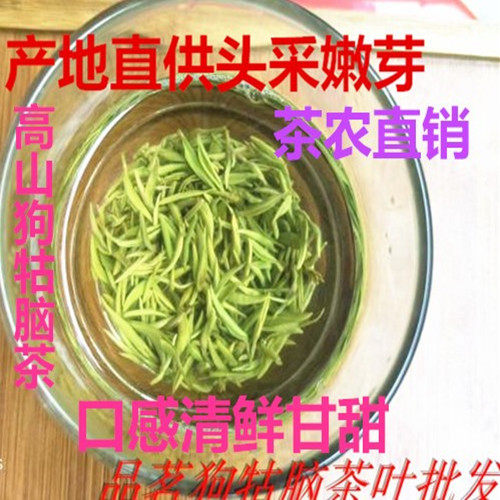 2026头采全芽狗牯脑新茶鲜爽鲜甜绿茶高山茶100克送罐