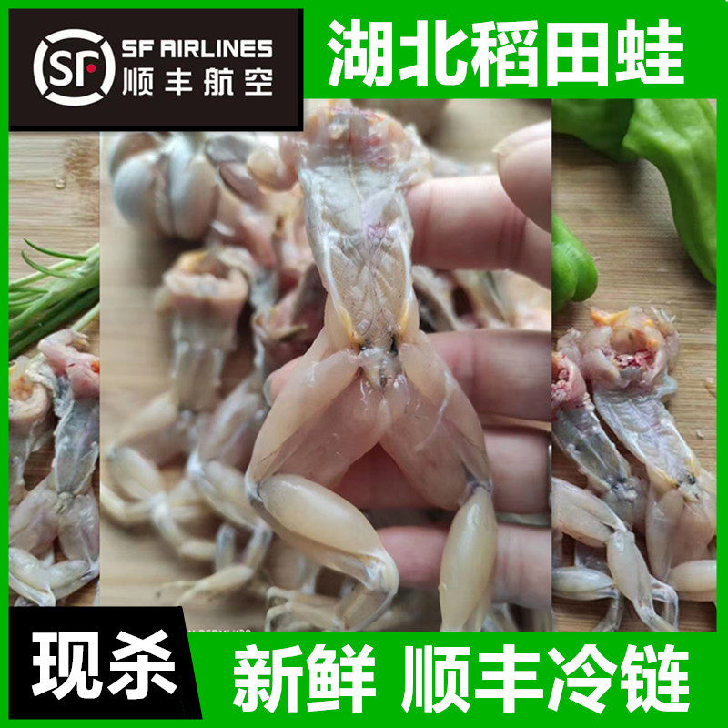 烧烤食材批发鲜活田鸡