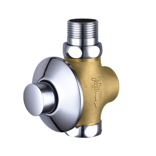 冲水阀手按式延时阀大便卫生间暗装蹲便器阀芯配件便池冲洗阀厕所