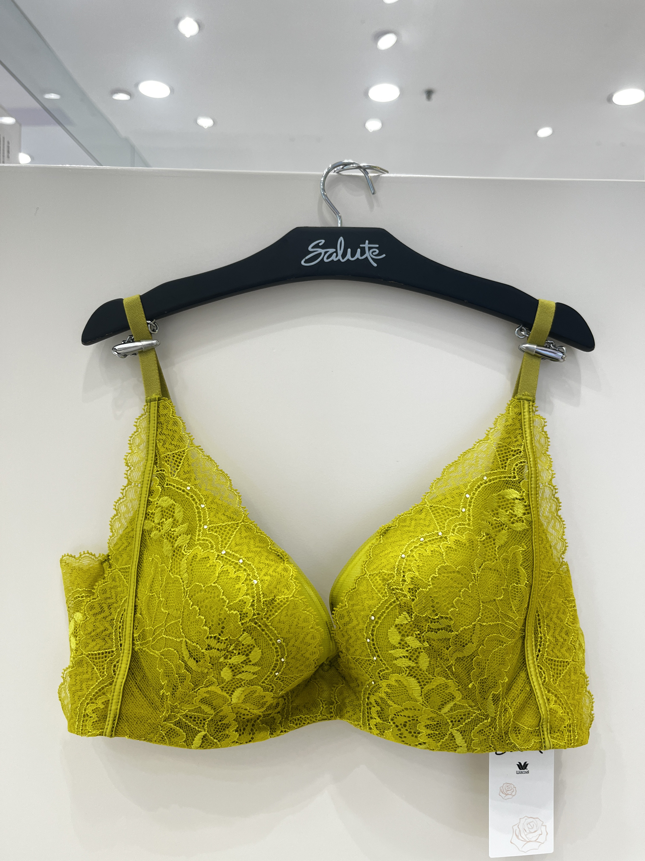 Salute 莎露 LB35E4 集中聚拢圆润侧收舒适深V蕾丝薄款文胸1480
