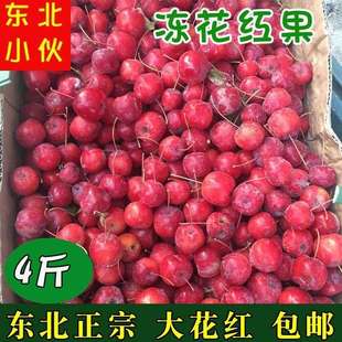 东北冻花红果海棠果酸甜冰冻花红冷冻海红子冰冰凉凉黑龙江冷冻