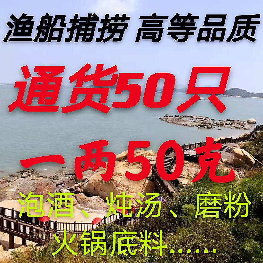 本港自晒海鲜干货通货50克包装男性调理煲汤泡酒药材料