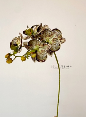 仿真蝴蝶兰单支桌面摆件家居装饰花艺假花年宵花素材氛围布置