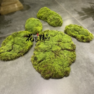 仿真青苔块苔藓植绒草皮橱窗DIY造景微景观艺术装 饰绿草坪白发藓