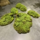 饰绿草坪白发藓 仿真青苔块苔藓植绒草皮橱窗DIY造景微景观艺术装