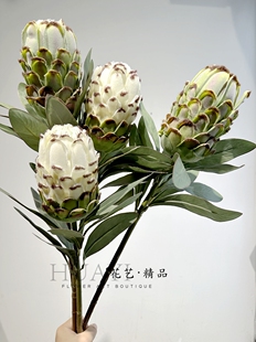小众花材公主花帝王花南非蓟风花软装花艺美陈家居餐桌茶几落地
