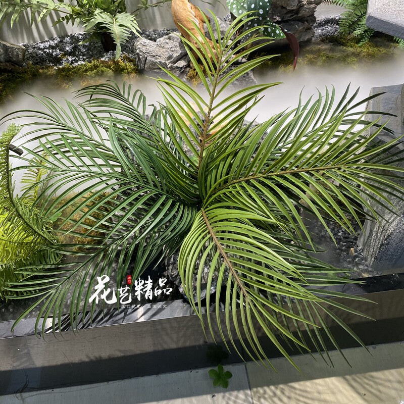 散尾葵凤尾竹地被造景园林景观装饰品水景热带花艺仿真植物花箱