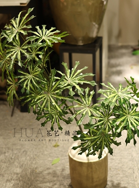 高品质鸭掌木仿真绿植室内装饰摆件简约风造型热带大叶植物造景