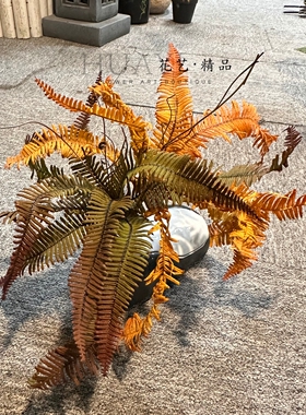 仿真蕨类植物盆栽秋季橘黄色系装饰造景拍摄道具插花素材