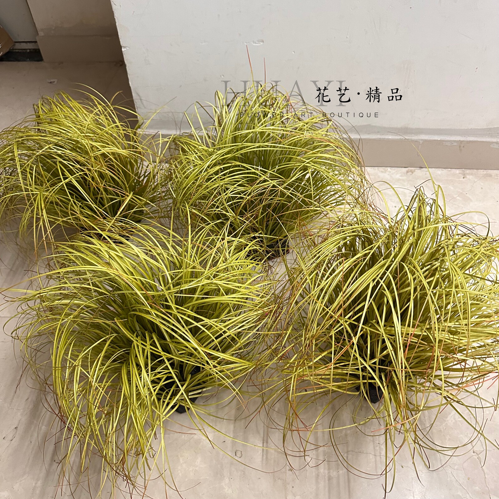 乱草仿真绿植枯草水草菖蒲装饰植物盆栽家居摆件治愈系草原布置