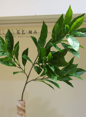 仿真绿叶枝条北欧简约家居装饰摆件黄金叶柳桃叶植物盆景观叶植物