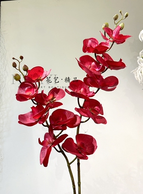 花艺精品仿真花蝴蝶兰单只