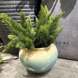 长青叶仿真树枝松针松枝侧柏冷杉树狐尾天门冬草把束叶材圣诞叶