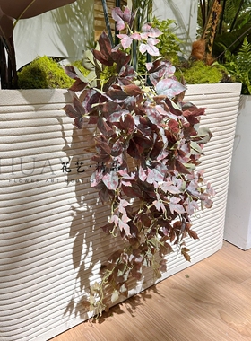 渐变红色爬山虎藤条秋色系叶材仿真番薯叶垂吊悬挂花箱装饰藤蔓