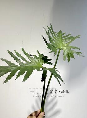 PU单片叶子配材仿真春雨叶