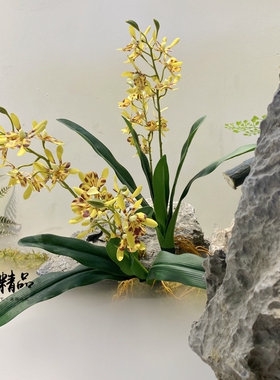 迷你万代兰蕙兰花仿真花