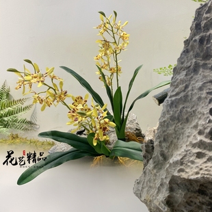 仿真花万代兰蕙兰花蜘蛛兰根须假花橱窗造景花艺园林绿化拍摄道具