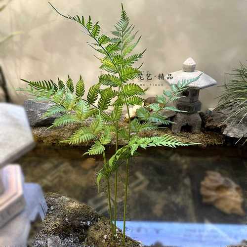 花艺精品仿真蕨草单只排草