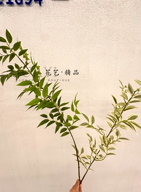 仿真白边竹叶山槭木叶花叶南天竺枝条插花绿植假花艺摆件