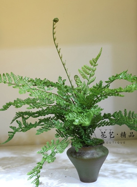 仿真铁线莲蕨马齿蕨狼尾蕨波斯草波士顿蕨室内装饰地被爬宠缸造景