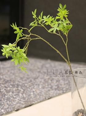 仿真绿植小枝叶异形鸡爪槭枫叶迎客枫装饰树枝插花素材美陈道具