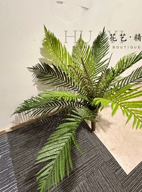 仿真蕨类植物盆栽室内装饰绿植北欧简约风格摆件铁树叶凤尾竹