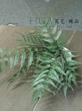 仿真蕨类植物盆栽室内装饰绿植家居摆件园林景观橱窗造景