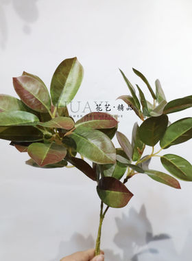 仿真乌桕叶子枝条家居装饰摆件绿色假花艺极简风渐变色叶材绿叶