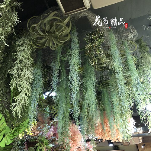 空气老人龙须草吊顶植物墙