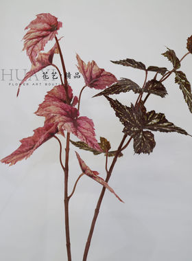自然灵动叶材飘逸手感彩芋叶仿真树叶热带植物大叶子唯美红色
