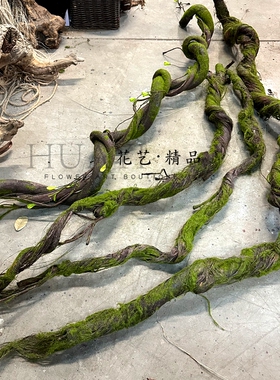 绿植藤条树枝藤蔓造景布景室内装饰枯枝仿真树藤苔藓青苔假枯藤