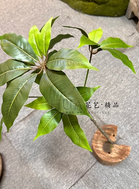 仿真芒果叶热带植物盆栽室内装饰绿植八角金盘叶木瓜植株