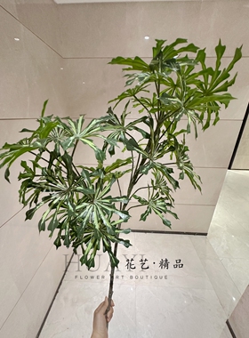 仿真绿植孔雀木枝条斑叶木热带鸭掌木植物摆件造景插花福禄桐