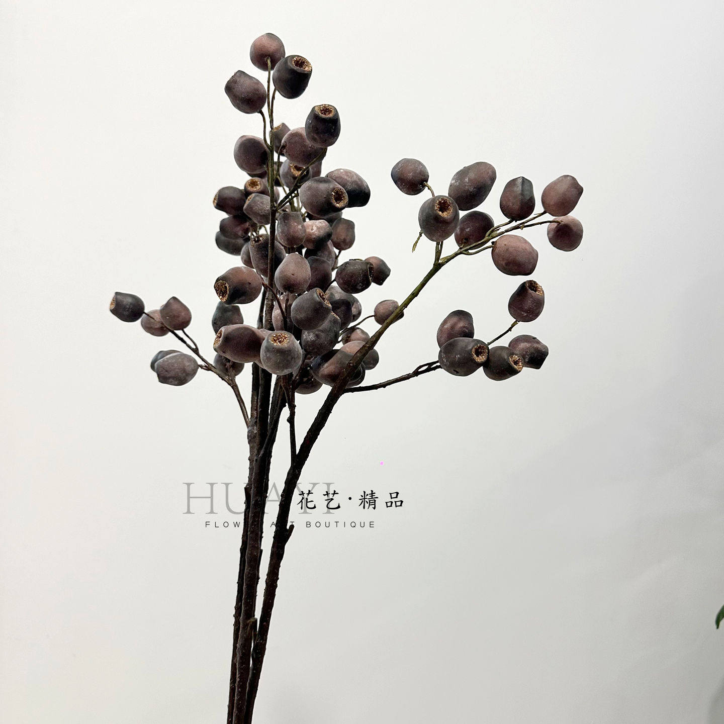 仿真果实烟袋果 黑加仑果假果子圣诞花环装饰万圣节叶道具材料