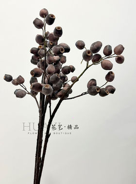 仿真果实烟袋果 黑加仑果假果子圣诞花环装饰万圣节叶道具材料