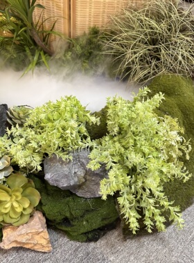 仿真多肉植物组合装饰摆件水草菖蒲室内造景绿植套装治愈系