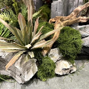 渐变秋红色剑叶多肉植物手感保湿枝干高品质园林景观植物仿真花