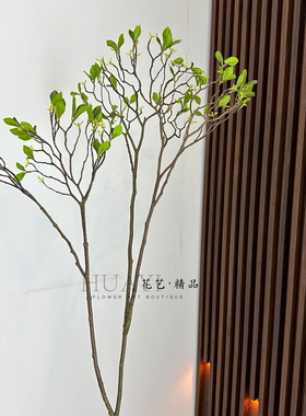 仿真树枝叶材花材嫩叶芽柳