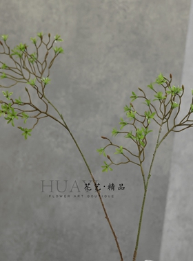 嫩芽枯枝树枝小树叶山归来叶仿真绿植叶材插花素材装饰花瓶