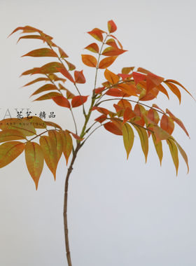 红叶秋叶手感保湿室内摆件仿真绿植插花叶材槭树枝叶植物花卉