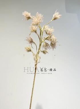 仿真花小众花材蒲公英单只