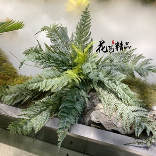 铁线蕨波斯草排草植物墙配材插花装饰山草仿真草波士顿蕨羊齿蕨草