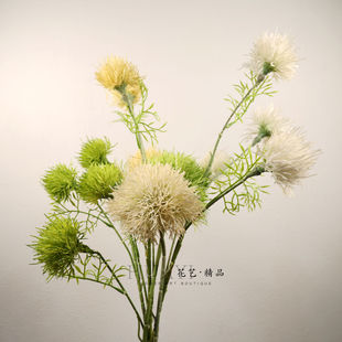 仿真蒲公英花朵毛球绿色白色石竹花团装花簇造景装饰插花摆件