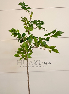 仿真叶材乌桕叶榕树盆栽绿植室内装饰摆件现代简约家居仿真花假树