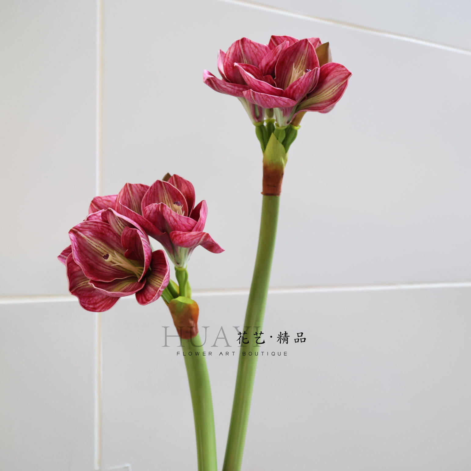 红色仿真君子兰朱顶红玫瑰花单支插花家居装饰花束成品花艺摆件