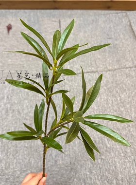 仿真橄榄枝插花装饰绿植家居客厅桌面美陈植物夹竹桃叶罗汉松枝条